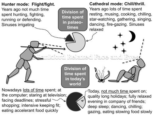 Chill thrill and fight flight