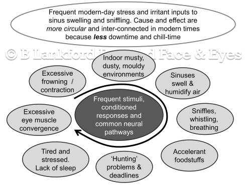 Modern life sinus stress