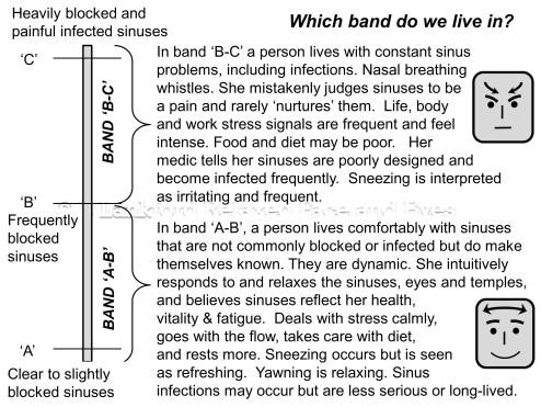 Stuffy and open sinuses